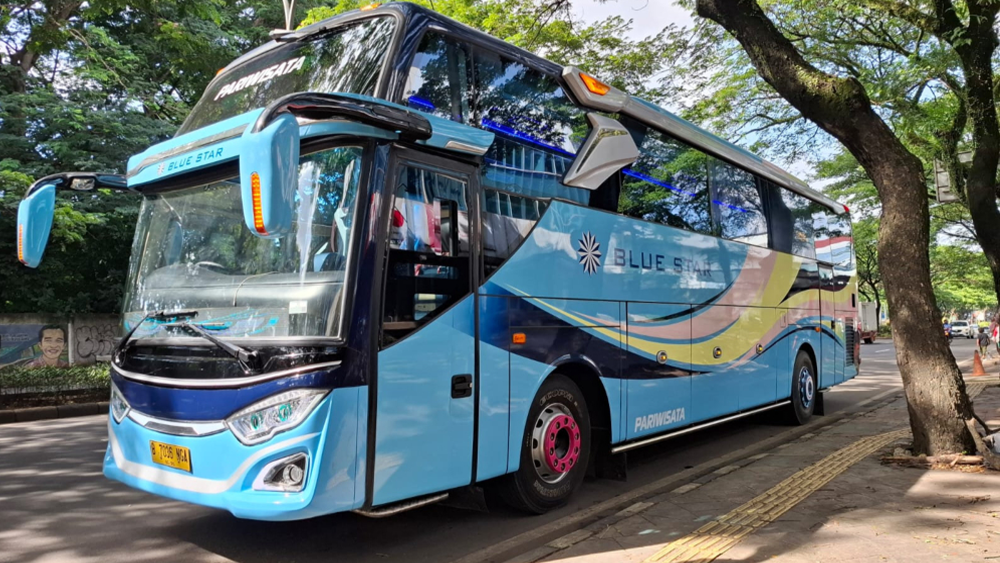 sewa bus blue star