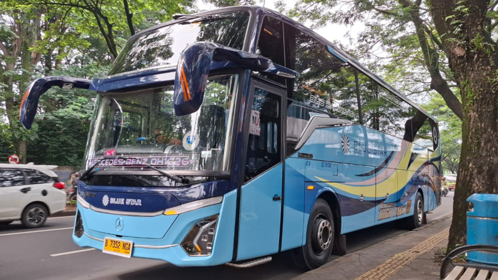 sewa bus bluestar