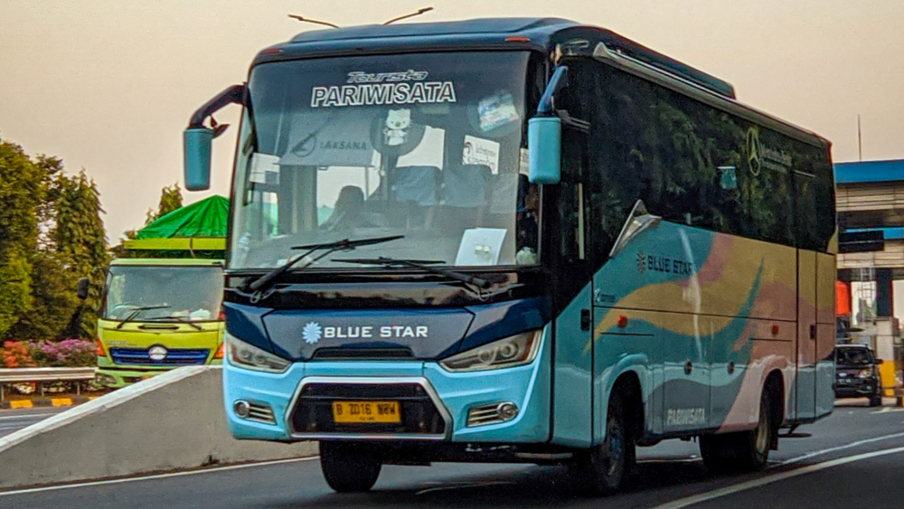 sewa bus blue star